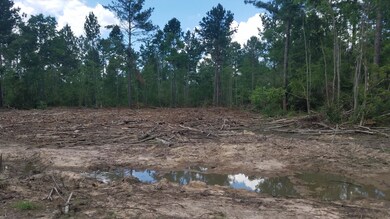 0 Tbd Little Happy Lane Lot 70 unit 2-5048, Deridder, LA 70634 - photo 3