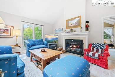 137 Staghorn Hollow Rd, Beech Mountain, NC 28604 - photo 3