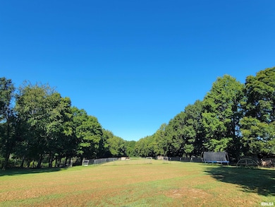 2517 Cherrybark Ln, Flora, IL 62839 - photo 6