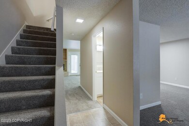AVDP04 (70)