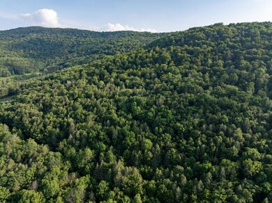 0 Broad Channel Rd unit KEY895476, Andes, NY 13731 - photo 5