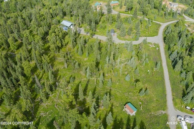 17215 Lunchbox Dr, Ninilchik, AK 99639 - photo 2