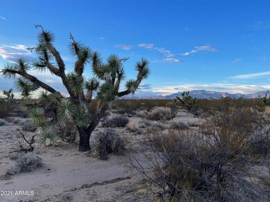 3503 S Lone Ranger Rd unit 3503, Yucca, AZ 86438 - photo 2
