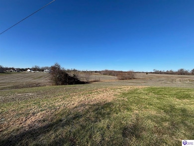 120 Owl Creek Dr, Vine Grove, KY 40175 - photo 3