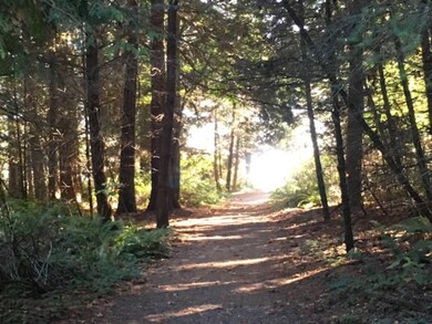 Lot 30 Foxhole Rd, Point Roberts, WA 98281 - photo 7