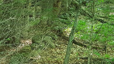 Lot 03-03-01 Thornton Gore Rd, Thornton, NH 03285 - photo 7