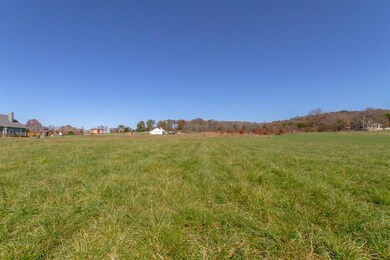 1702 Fairfield Pike, Shelbyville, TN 37160 - photo 2