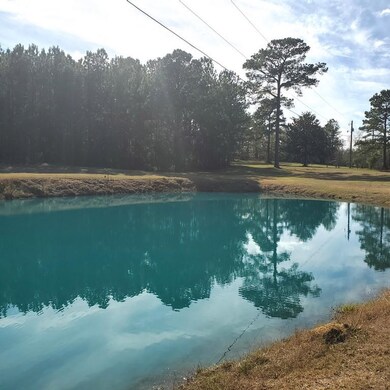 273 Horseshoe Cir, Thomasville, GA 31757 - photo 2