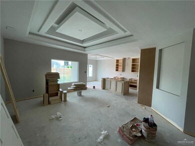 817 Hawk St, Alamo, TX 78516 - photo 4