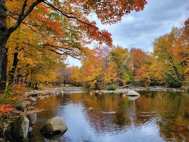 75 Riverfront Dr unit 205, Woodstock, NH 03262 - photo 4