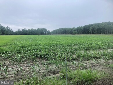 0 Toddville Rd unit 1002293242, Toddville, MD 21672 - photo 5