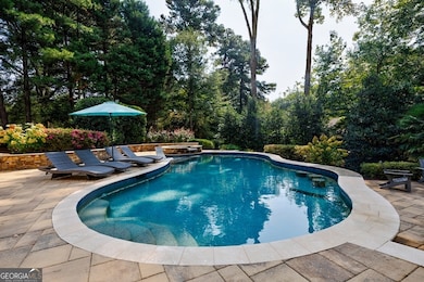 Beautiful Saltwater Pool in a lush, private backya