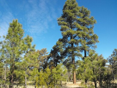 6 Lot 76 Juniper
