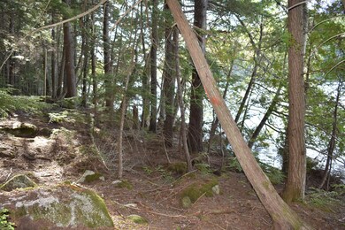 Lot 1B-9 Upper Dark Cove Rd, Weston, ME 04424 - photo 6