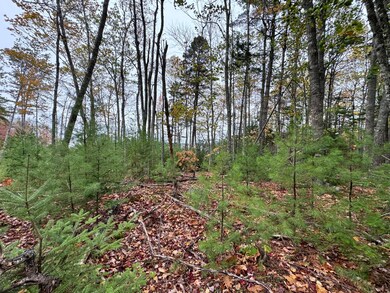 0 Graham Way, Ellsworth, ME 04605 - photo 5