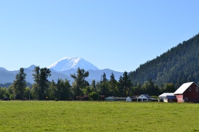 480 Riley Ct E, Enumclaw, WA 98022 - photo 4