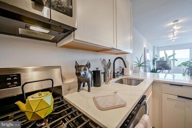 The Apolline unit 822, Washington, DC 20036 - photo 5