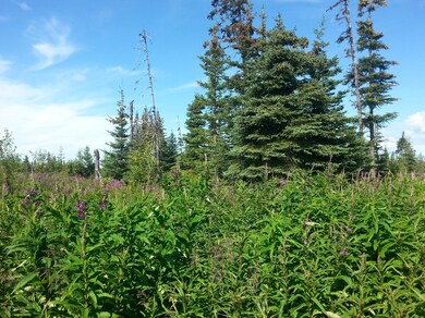 20140729_161754