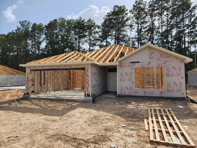 10071 Spring Creek Rd, Cleveland, TX 77327 - photo 3