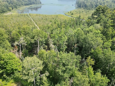 TBD Lower Ten Mile Lake Rd NW, Hackensack, MN 56452 - photo 7