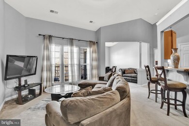 5307 Wyndholme Cir unit 403, Baltimore, MD 21229 - photo 2