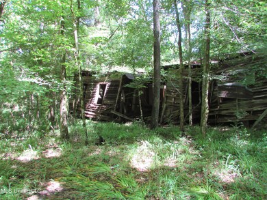 0 Bend Rd unit 4113999, Vaughan, MS 39179 - photo 7