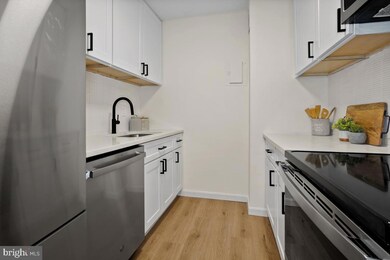 Riverside unit A513, Washington, DC 20024 - photo 4