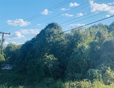 2-Acres of wonderful Bastrop Land!