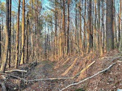 00007 Springhollow Dr, Ashville, AL 35953 - photo 2