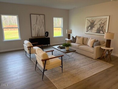 521 Olivia Crossing Ct, Four Oaks, NC 27524 - photo 4