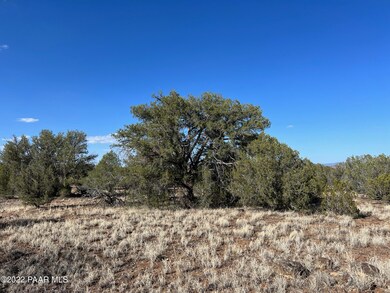 2d Stockmans Rd, Ash Fork, AZ 86320 - photo 6