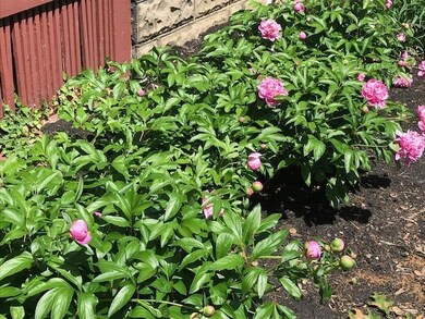 72 Oakland Park Ave, Columbus, OH 43214 - photo 3