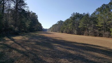 Picture #4 Back side Runway east and wes