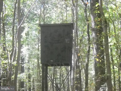 0 Bay Shore Rd unit 1000479123, Chestertown, MD 21620 - photo 4