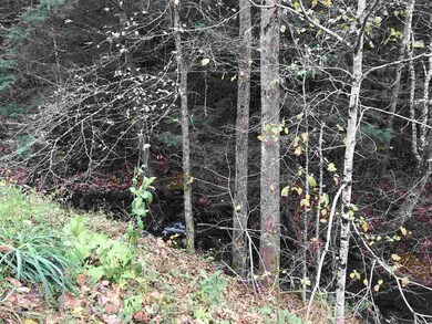 00 Mud Hollow Rd, Kirby, VT 05851 - photo 3