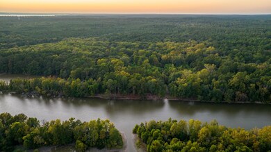 2258 Fm 3459, Onalaska, TX 77360 - photo 7