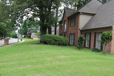 View of grassy yard