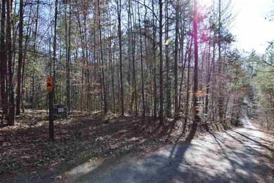 00 Watermelon Way unit Lot F, Tamassee, SC 29686 - photo 7