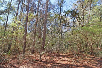 126 Nine Gables Ln, Crawfordville, FL 32327 - photo 6