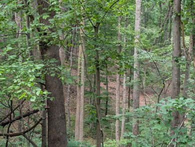 image000jk000