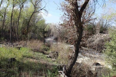 460 NE 4th St, Cedaredge, CO 81413 - photo 6