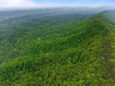 Tract 1 Sandy Valley Rd, Rogersville, TN 37857 - photo 7