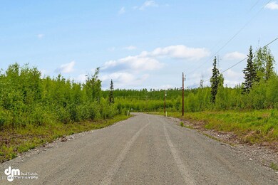 B3 L9 S Preston Hills Dr, Big Lake, AK 99654 - photo 4