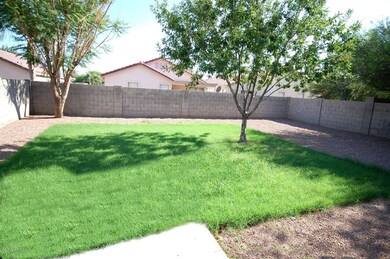 back yard 1