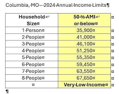 207 Lynn St, Columbia, MO 65203 - photo 3