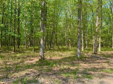 Lot 52 Aspen Dr, Dingman Township, PA 18337 - photo 3