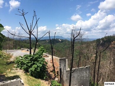 Additional View 3