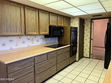 9707 W Terrace Ln, Sun City, AZ 85373 - photo 3