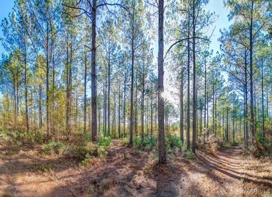 69 Highway 80 Rd, Auburn, AL 36830 - photo 7