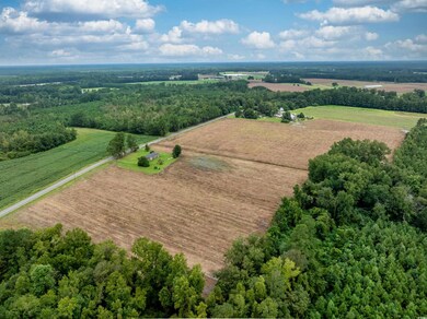 TBD Lot B5 Mount Olive Church Rd, Nichols, SC 29581 - photo 3